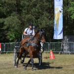 III Mistrzostwa Kaszub W Powożeniu Zaprzęgami Konnymi