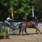 III Mistrzostwa Kaszub W Powożeniu Zaprzęgami Konnymi