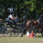 III Mistrzostwa Kaszub W Powożeniu Zaprzęgami Konnymi