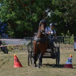 III Mistrzostwa Kaszub W Powożeniu Zaprzęgami Konnymi