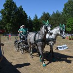 III Mistrzostwa Kaszub W Powożeniu Zaprzęgami Konnymi