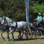 III Mistrzostwa Kaszub W Powożeniu Zaprzęgami Konnymi