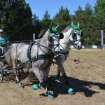 III Mistrzostwa Kaszub W Powożeniu Zaprzęgami Konnymi