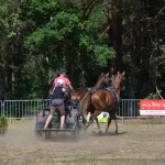 III Mistrzostwa Kaszub W Powożeniu Zaprzęgami Konnymi