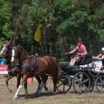 III Mistrzostwa Kaszub W Powożeniu Zaprzęgami Konnymi