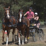 III Mistrzostwa Kaszub W Powożeniu Zaprzęgami Konnymi