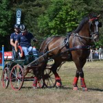 III Mistrzostwa Kaszub W Powożeniu Zaprzęgami Konnymi