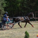 III Mistrzostwa Kaszub W Powożeniu Zaprzęgami Konnymi
