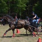 III Mistrzostwa Kaszub W Powożeniu Zaprzęgami Konnymi