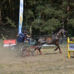 III Mistrzostwa Kaszub W Powożeniu Zaprzęgami Konnymi