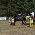 III Mistrzostwa Kaszub W Powożeniu Zaprzęgami Konnymi