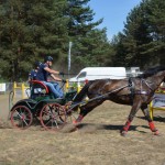 III Mistrzostwa Kaszub W Powożeniu Zaprzęgami Konnymi