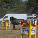 III Mistrzostwa Kaszub W Powożeniu Zaprzęgami Konnymi