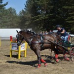 III Mistrzostwa Kaszub W Powożeniu Zaprzęgami Konnymi