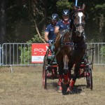 III Mistrzostwa Kaszub W Powożeniu Zaprzęgami Konnymi