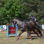 III Mistrzostwa Kaszub W Powożeniu Zaprzęgami Konnymi