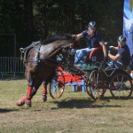 III Mistrzostwa Kaszub W Powożeniu Zaprzęgami Konnymi