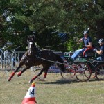 III Mistrzostwa Kaszub W Powożeniu Zaprzęgami Konnymi