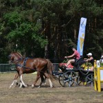III Mistrzostwa Kaszub W Powożeniu Zaprzęgami Konnymi