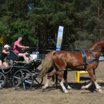 III Mistrzostwa Kaszub W Powożeniu Zaprzęgami Konnymi