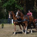 III Mistrzostwa Kaszub W Powożeniu Zaprzęgami Konnymi