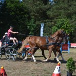 III Mistrzostwa Kaszub W Powożeniu Zaprzęgami Konnymi