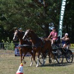 III Mistrzostwa Kaszub W Powożeniu Zaprzęgami Konnymi