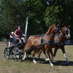 III Mistrzostwa Kaszub W Powożeniu Zaprzęgami Konnymi