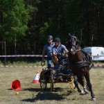 III Mistrzostwa Kaszub W Powożeniu Zaprzęgami Konnymi