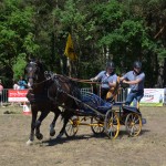 III Mistrzostwa Kaszub W Powożeniu Zaprzęgami Konnymi
