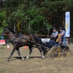 III Mistrzostwa Kaszub W Powożeniu Zaprzęgami Konnymi