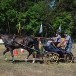 III Mistrzostwa Kaszub W Powożeniu Zaprzęgami Konnymi