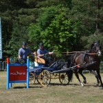 III Mistrzostwa Kaszub W Powożeniu Zaprzęgami Konnymi
