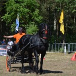 III Mistrzostwa Kaszub W Powożeniu Zaprzęgami Konnymi