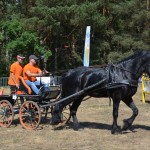 III Mistrzostwa Kaszub W Powożeniu Zaprzęgami Konnymi