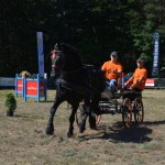 III Mistrzostwa Kaszub W Powożeniu Zaprzęgami Konnymi