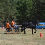 III Mistrzostwa Kaszub W Powożeniu Zaprzęgami Konnymi