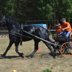 III Mistrzostwa Kaszub W Powożeniu Zaprzęgami Konnymi