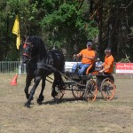III Mistrzostwa Kaszub W Powożeniu Zaprzęgami Konnymi