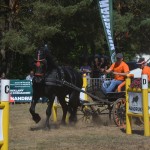 III Mistrzostwa Kaszub W Powożeniu Zaprzęgami Konnymi
