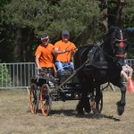 III Mistrzostwa Kaszub W Powożeniu Zaprzęgami Konnymi