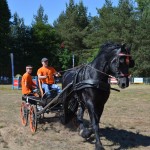 III Mistrzostwa Kaszub W Powożeniu Zaprzęgami Konnymi