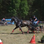 III Mistrzostwa Kaszub W Powożeniu Zaprzęgami Konnymi