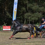 III Mistrzostwa Kaszub W Powożeniu Zaprzęgami Konnymi
