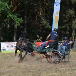 III Mistrzostwa Kaszub W Powożeniu Zaprzęgami Konnymi
