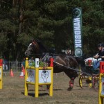 III Mistrzostwa Kaszub W Powożeniu Zaprzęgami Konnymi