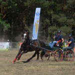 III Mistrzostwa Kaszub W Powożeniu Zaprzęgami Konnymi