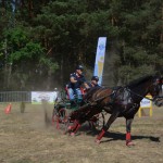 III Mistrzostwa Kaszub W Powożeniu Zaprzęgami Konnymi