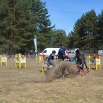 III Mistrzostwa Kaszub W Powożeniu Zaprzęgami Konnymi