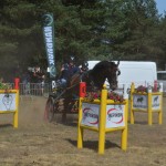 III Mistrzostwa Kaszub W Powożeniu Zaprzęgami Konnymi